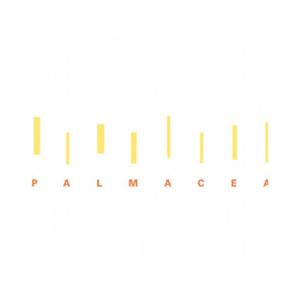 Palmacea | Fara Textured Nilo Brown Maxi Dress | NWT - Picture 10 of 10